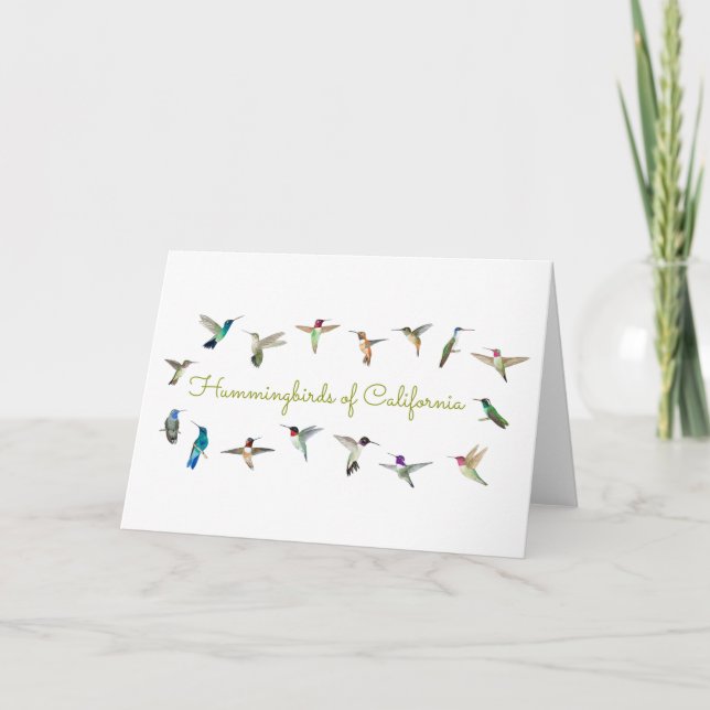 Cartes de voeux pliées des colibris de Californie (Devant)