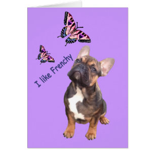 Cartes de vœux pour Bouledogue Français