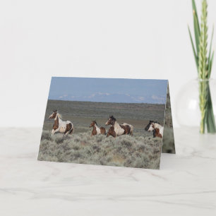 Cartes de voeux pour Cheval Sauvage - Taboo guide 