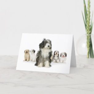 Cartes de voeux pour chien de garde anglais