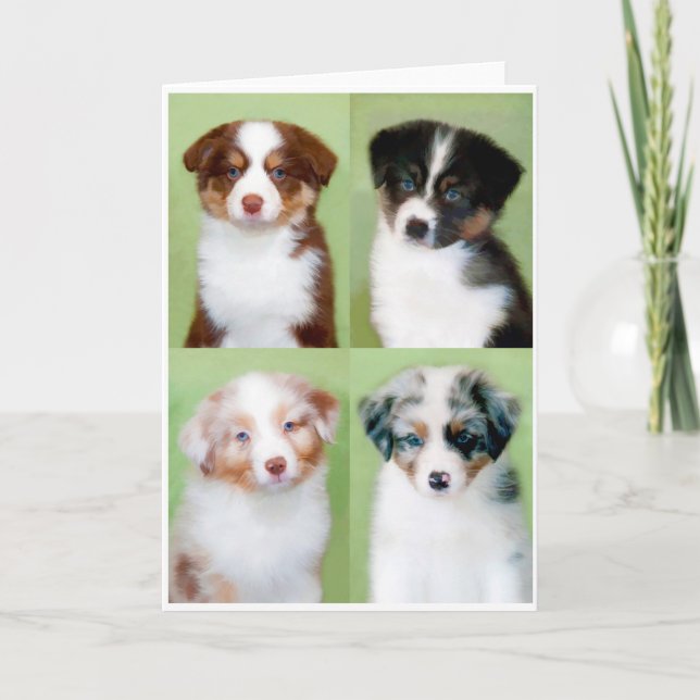 Cartes de voeux pour chiot australien (Devant)