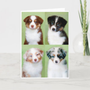 Cartes de voeux pour chiot australien