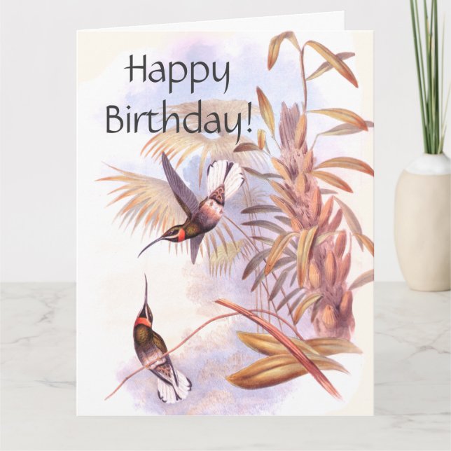 Cartes de voeux pour l'anniversaire des colibris (Devant)