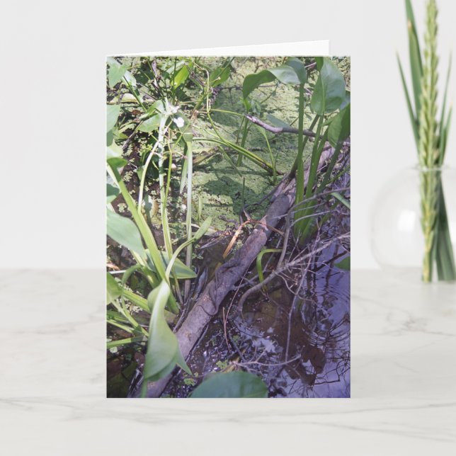Cartes de voeux pour le bain de soleil de serpent (Devant)