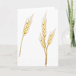 Cartes de voeux pour le blé