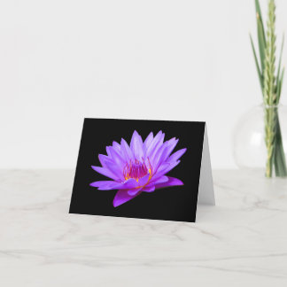 Cartes de voeux pour Lily d'eau violette