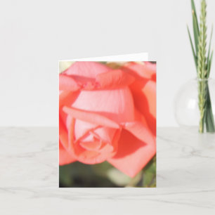 Cartes de vœux Rose Corail