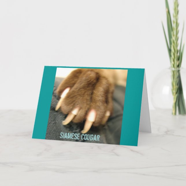 Cartes de voeux siamoises de puma (Devant)
