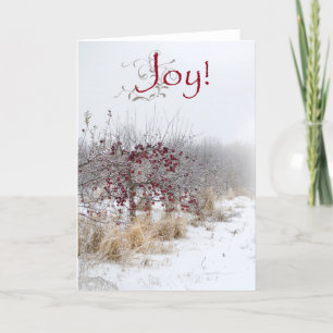 Cartes de voeux simples de Noël de pays