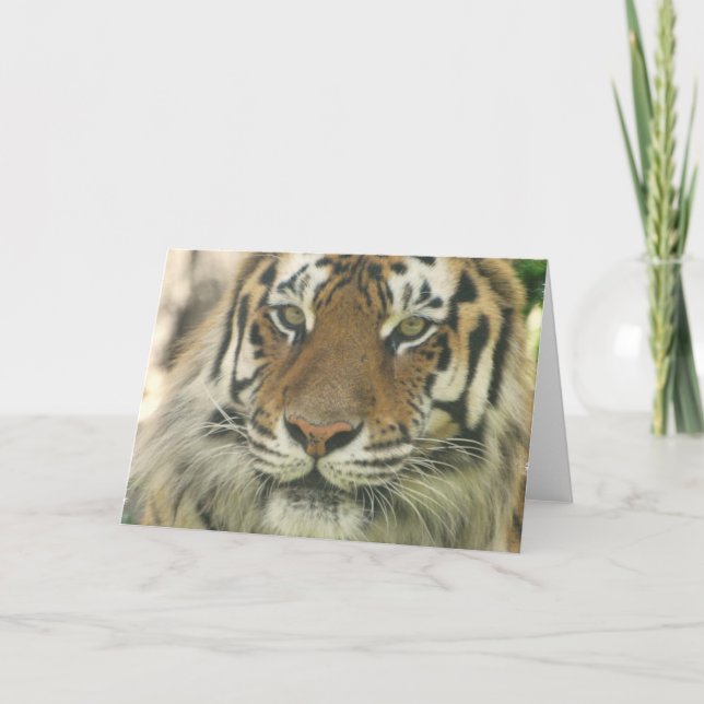 Cartes de voeux Sumatran Tiger (Devant)