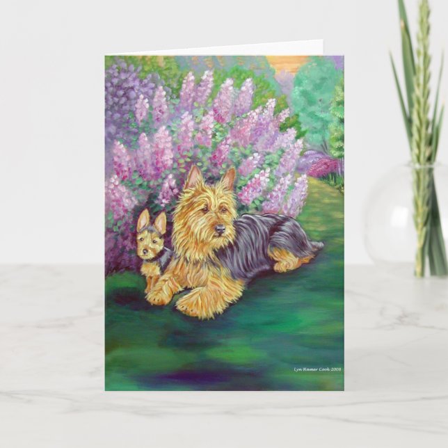 Cartes de voeux Terrier australien (Devant)