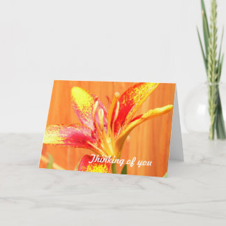Cartes de voeux Tiger Lily