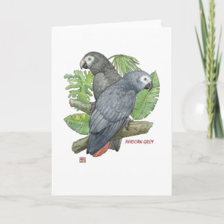 Cartes de voeux tropicales de gris africains
