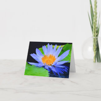 Cartes de vœux vierges avec nénuphar bleu
