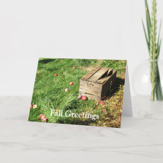 Cartes de voeux vierges de la caisse Apple