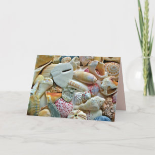 Cartes de vœux vierges de photographies de coquill