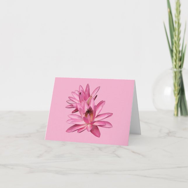 Cartes de vœux vierges Fleurs de nénuphars roses (Devant)