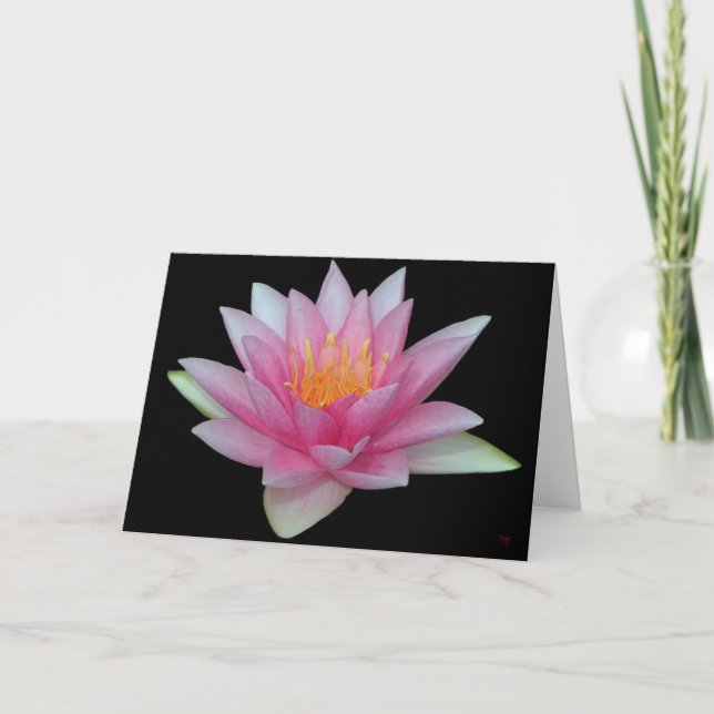 Cartes de vœux vierges Nymphéa (Devant)