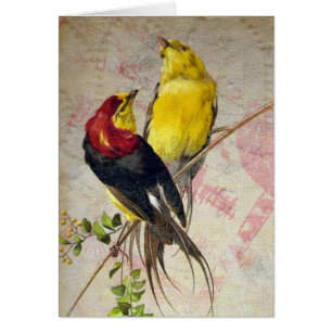 Cartes de vœux vintage oiseaux rouges et jaunes po