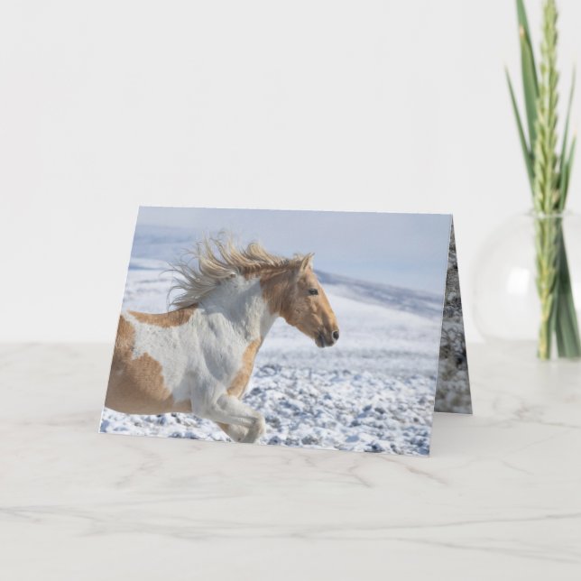 Cartes de voeux Wild Horse (Devant)
