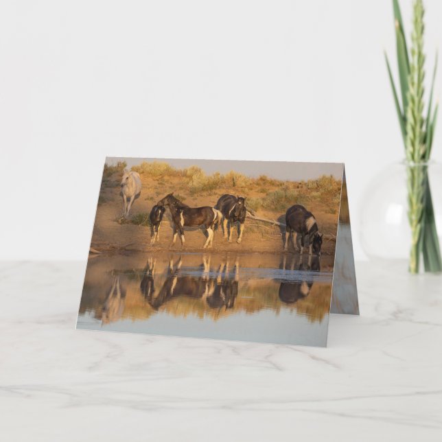 Cartes de voeux Wild Horse - Wild Family at Oasis (Devant)