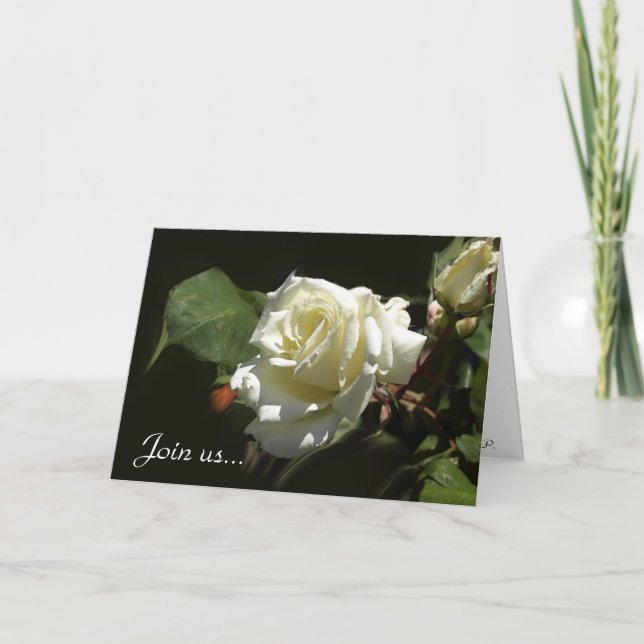 Cartes de voeux Wild White Rose (Devant)