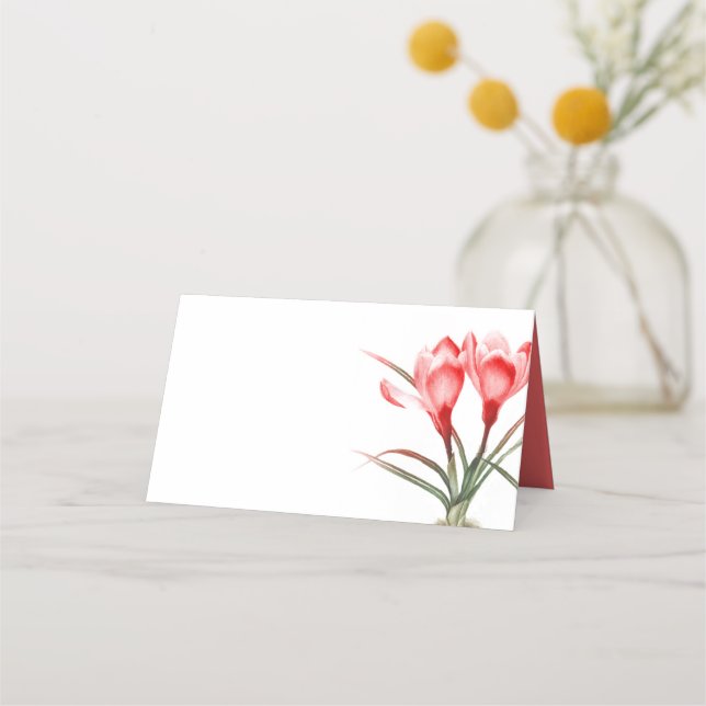 Cartes d'endroit pour invités (Dos)