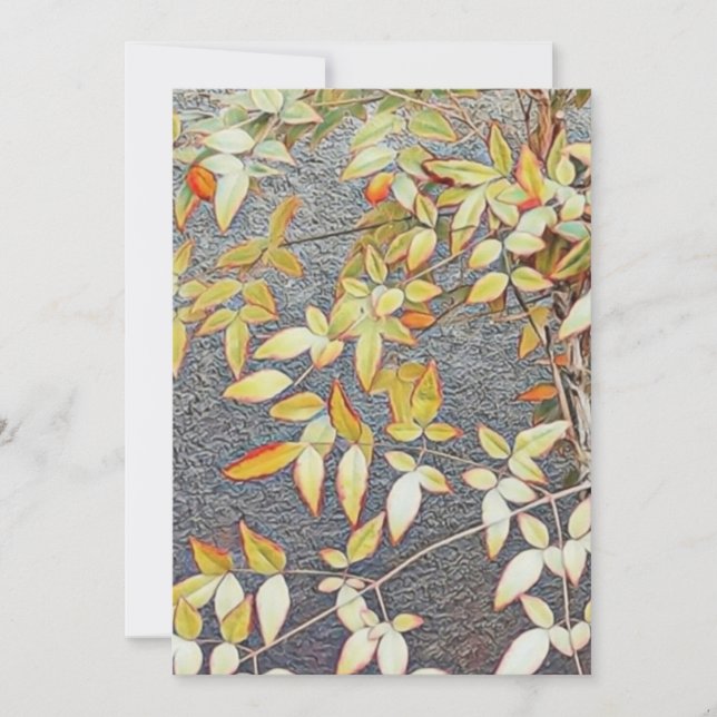 Cartes d'invitation / (Devant)
