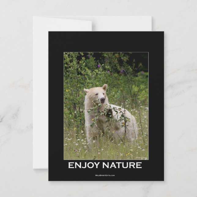 Cartes d'invitation de l'ours (Devant)