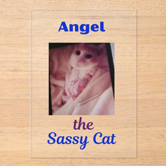 Cartes d'invitation en acrylique Angel the Sassy C (Recto)