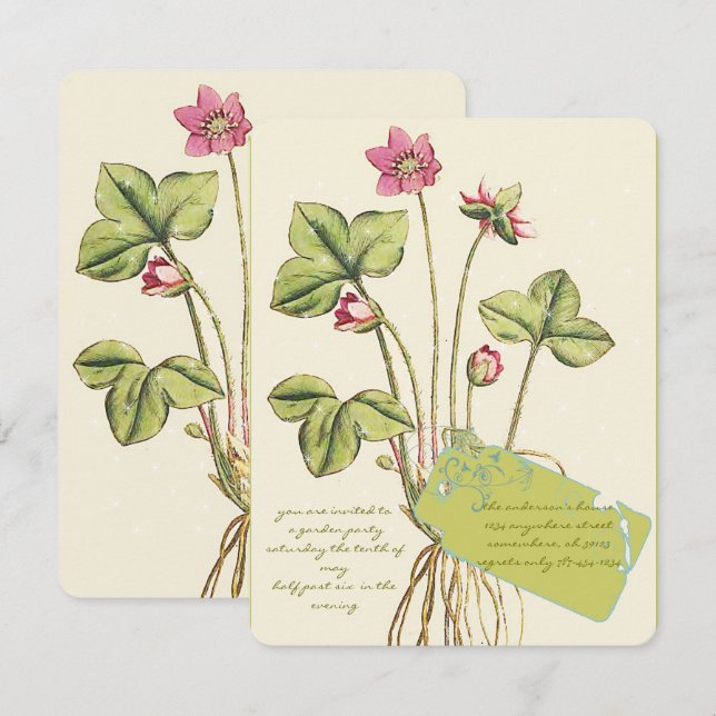 Cartes d'invitation pour dîner botanique Fleur sau (Devant / Derrière)