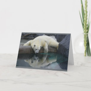 Cartes d'ours polaires - Réflexions