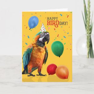 Cartes drôles de Catalina ou de perroquet Macaw Ra