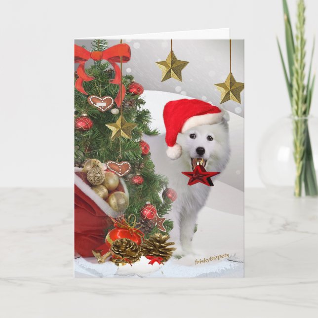 Cartes esquimaudes américaines d'étoile de Noël (Devant)