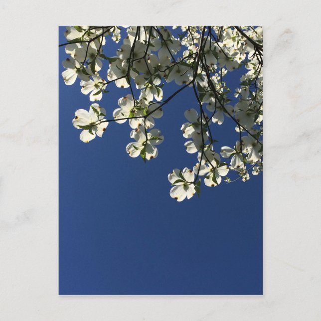 Cartes Fleur de Cornouiller (Devant)