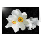 Cartes florales blanches Smokey