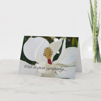 Cartes florales de fleur blanche de magnolia de