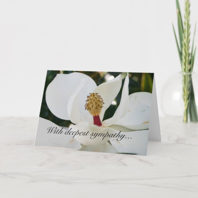Cartes florales de fleur blanche de magnolia de (Devant)