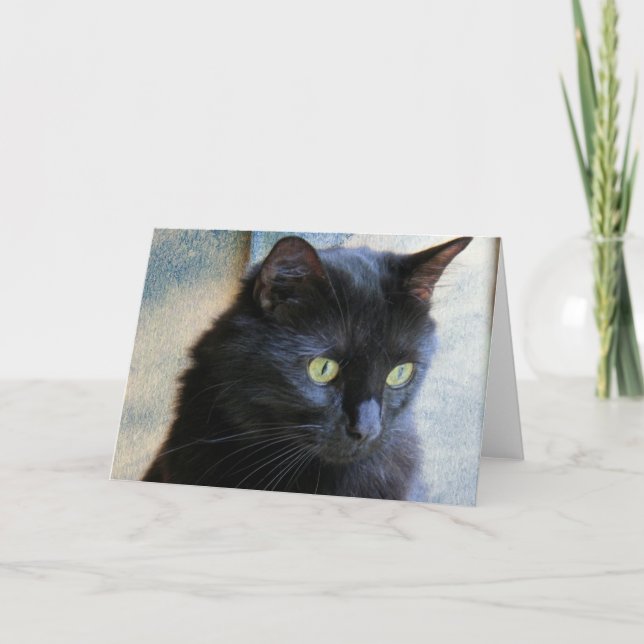 Cartes noires de note de chat, vierges à l'intérie (Devant)