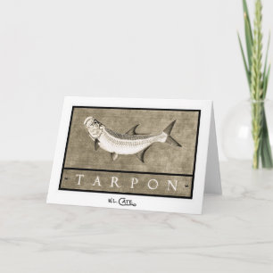 Cartes noires de tarpon et blanches vintages de