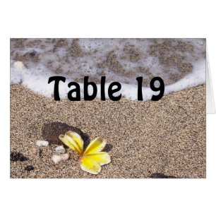 Cartes nominatives tropicales de couvert de plage