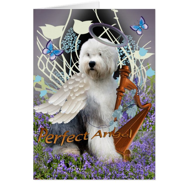 Cartes parfaites d'ange de vieux chien de berger (Devant)