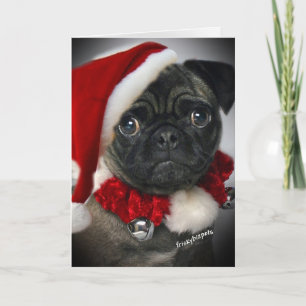 Cartes Père Noël Carlin