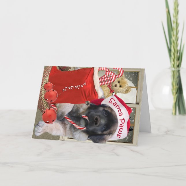 Cartes Père Noël de Leonberger (Devant)