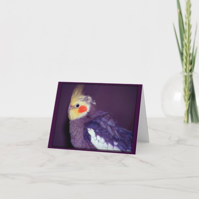 Cartes personnalisables de Tiel (Devant)