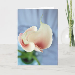 Cartes photo Art Vortex White Calla Lily