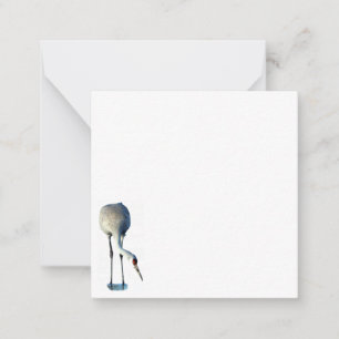 Cartes photo Sandhill Crane Plain Note