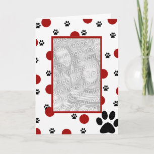 Cartes photos d'animal familier