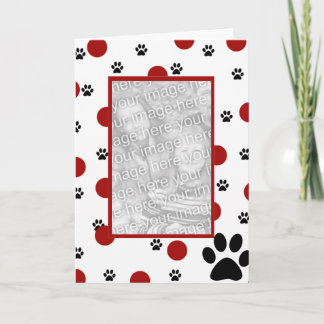 Cartes photos d'animal familier