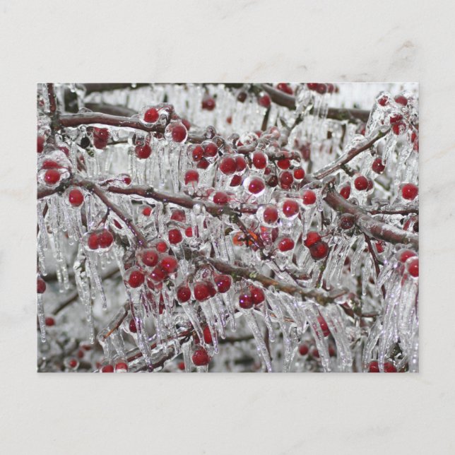 Cartes postales (Devant)